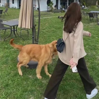 错爱2