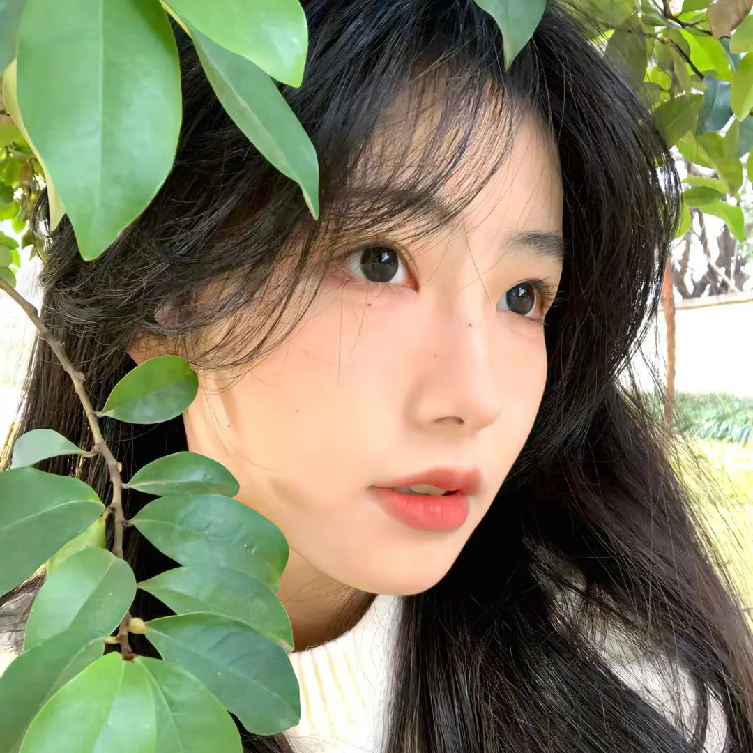 波拉克和他的情人